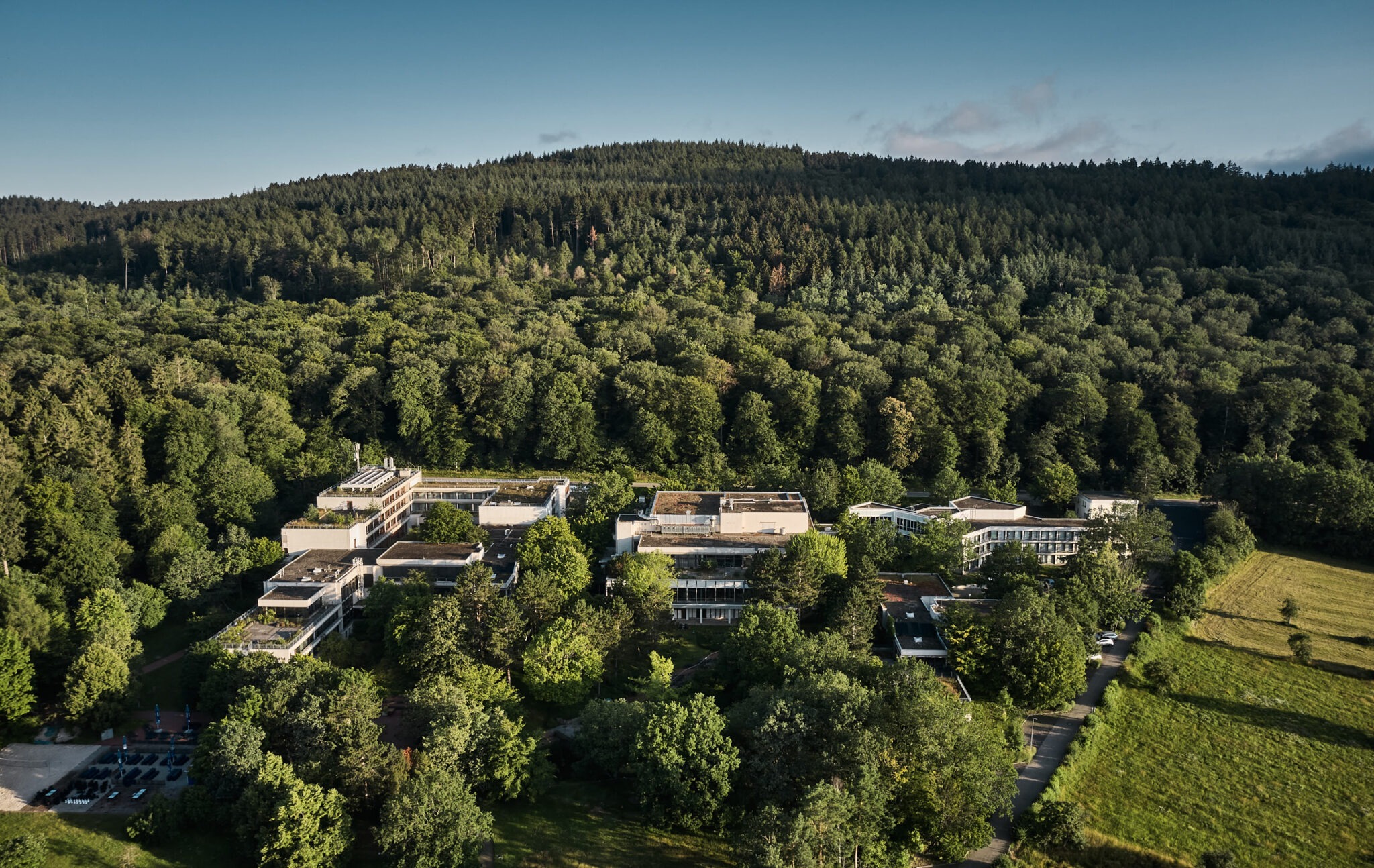 Bold-Campus_Forest_Sunny