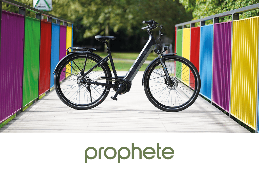 Trusted Partner Prophete in Moving